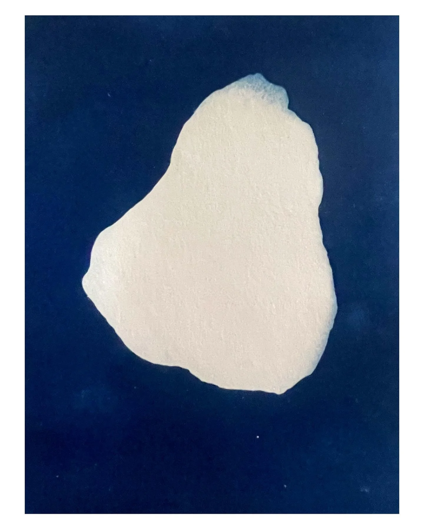 Two Stones from the garden / zwei Steine aus dem Garten

#cyanotype #cyanotypeprint #cyanomasters #alternativephotography #alternativeprocesses #alternativeprocess #fineartphotography #sunprint