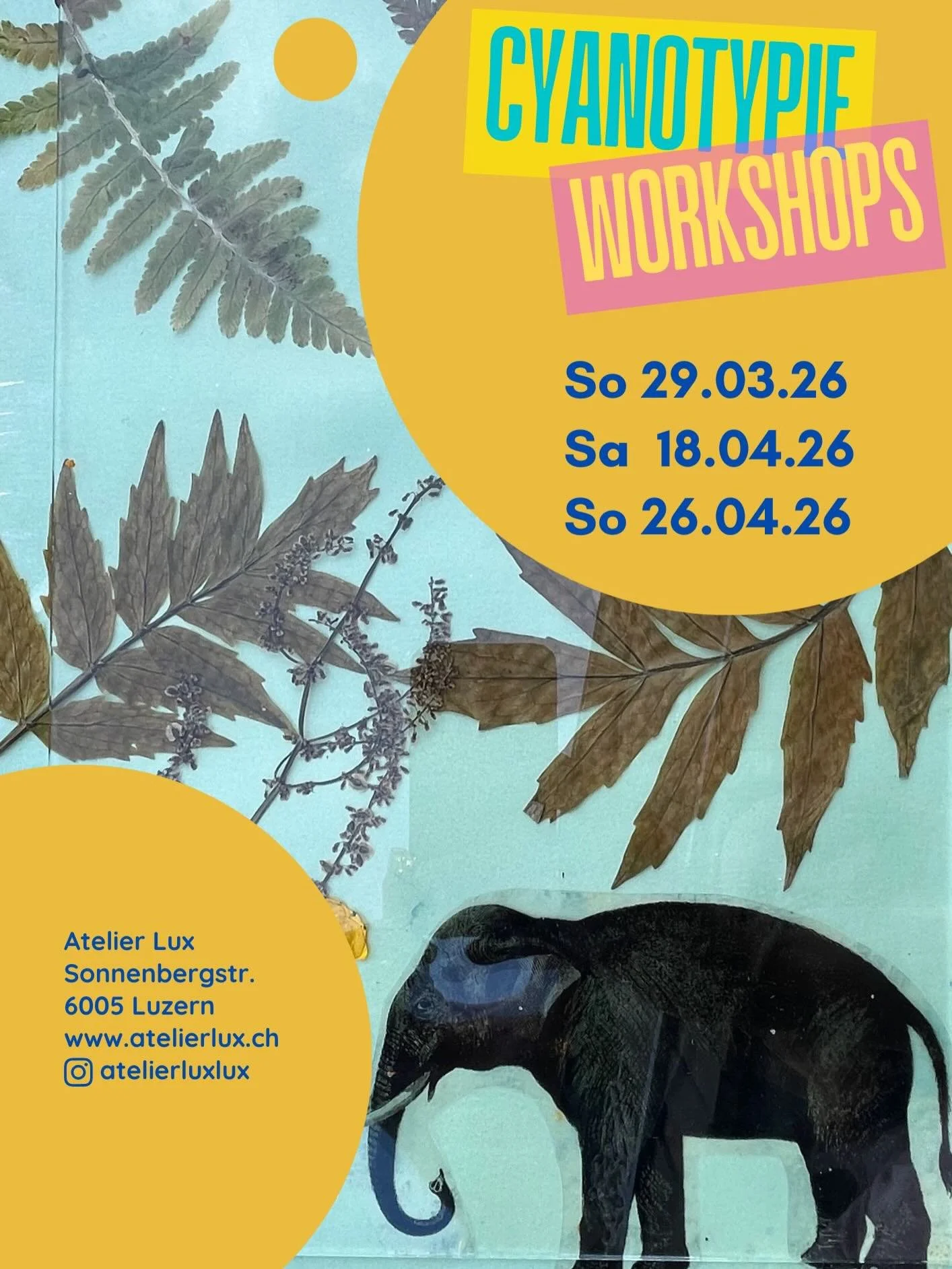 Liebe KreativfreundInnen

Voil&agrave; die neuen Fr&uuml;hlingsworkshops! ☀️💙

Du wolltest schon lange mal herausfinden, was es mit diesen Cyanotypien auf sich hat? Melde dich an und lass dich inspirieren!