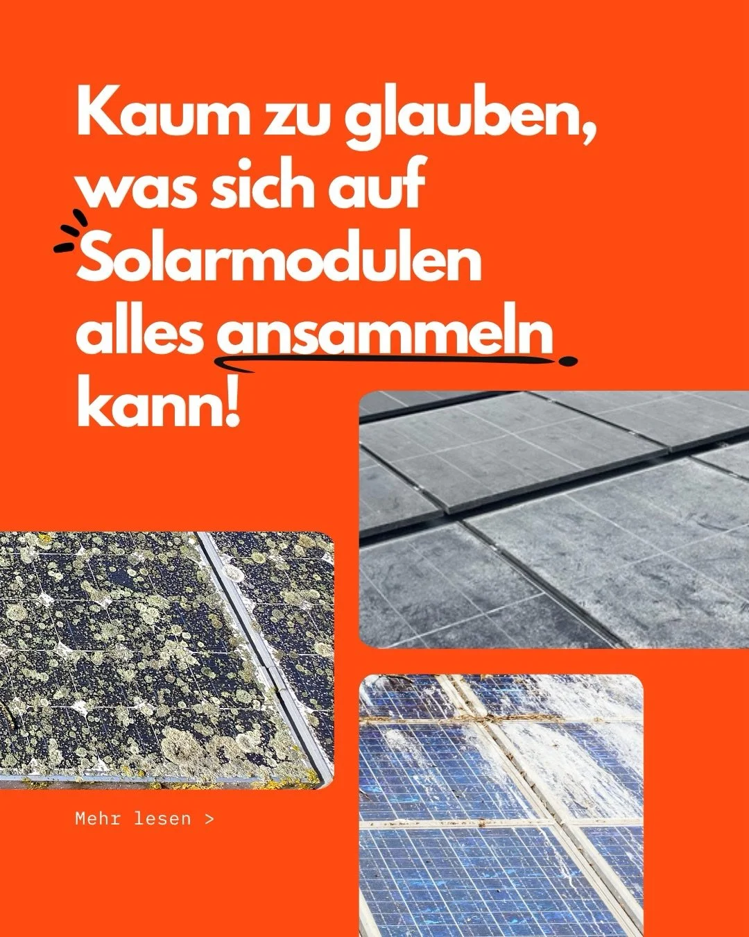 Kaum zu glauben, was sich auf Solarmodulen alles ansammeln kann!☀️

Moos, Flechten, Staub, Pollen, Vogelkot, industrielle Ablagerungen, Ru&szlig;, Sand, Laub und viele weitere Umweltr&uuml;ckst&auml;nde k&ouml;nnen sich im Laufe der Zeit auf Solarmod