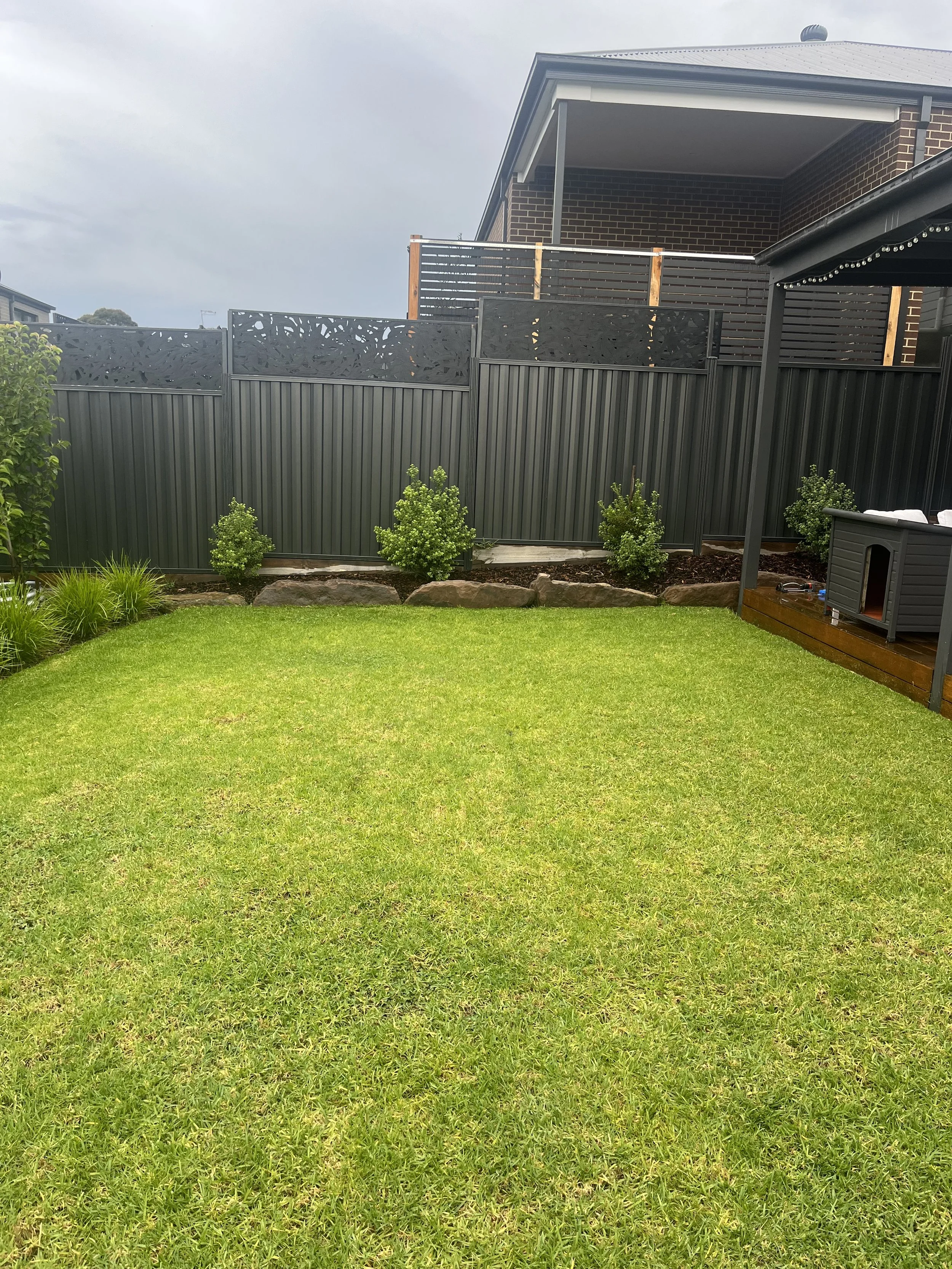 Backyard with green lawn, metal fence, decorative panels, young shrubs, and adjacent house with veranda.