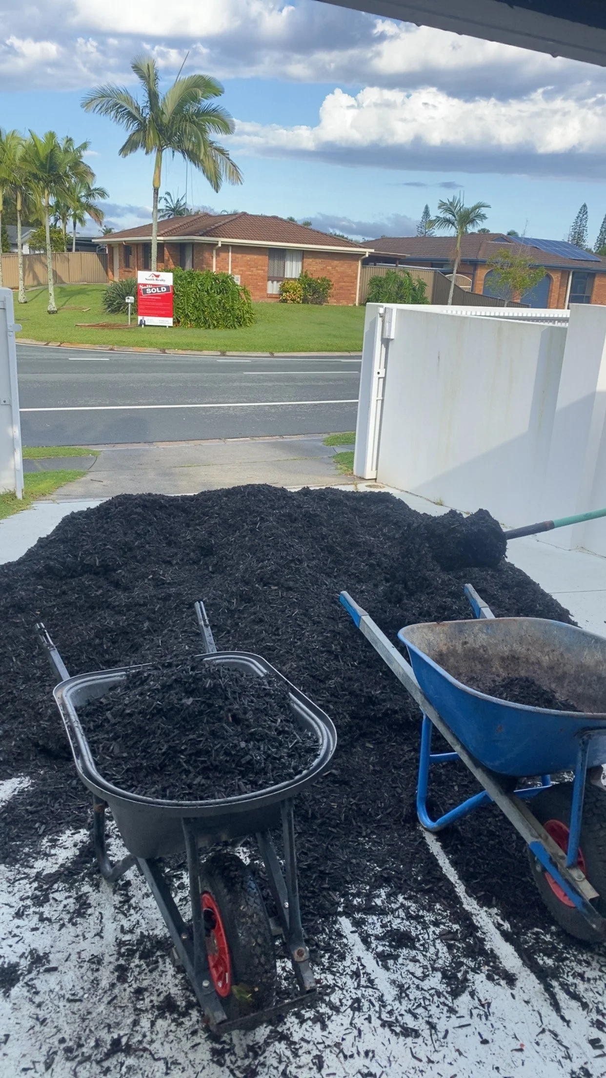 Two wheelbarrows filled with black mulch on a driveway, with a house and palm trees in the background.