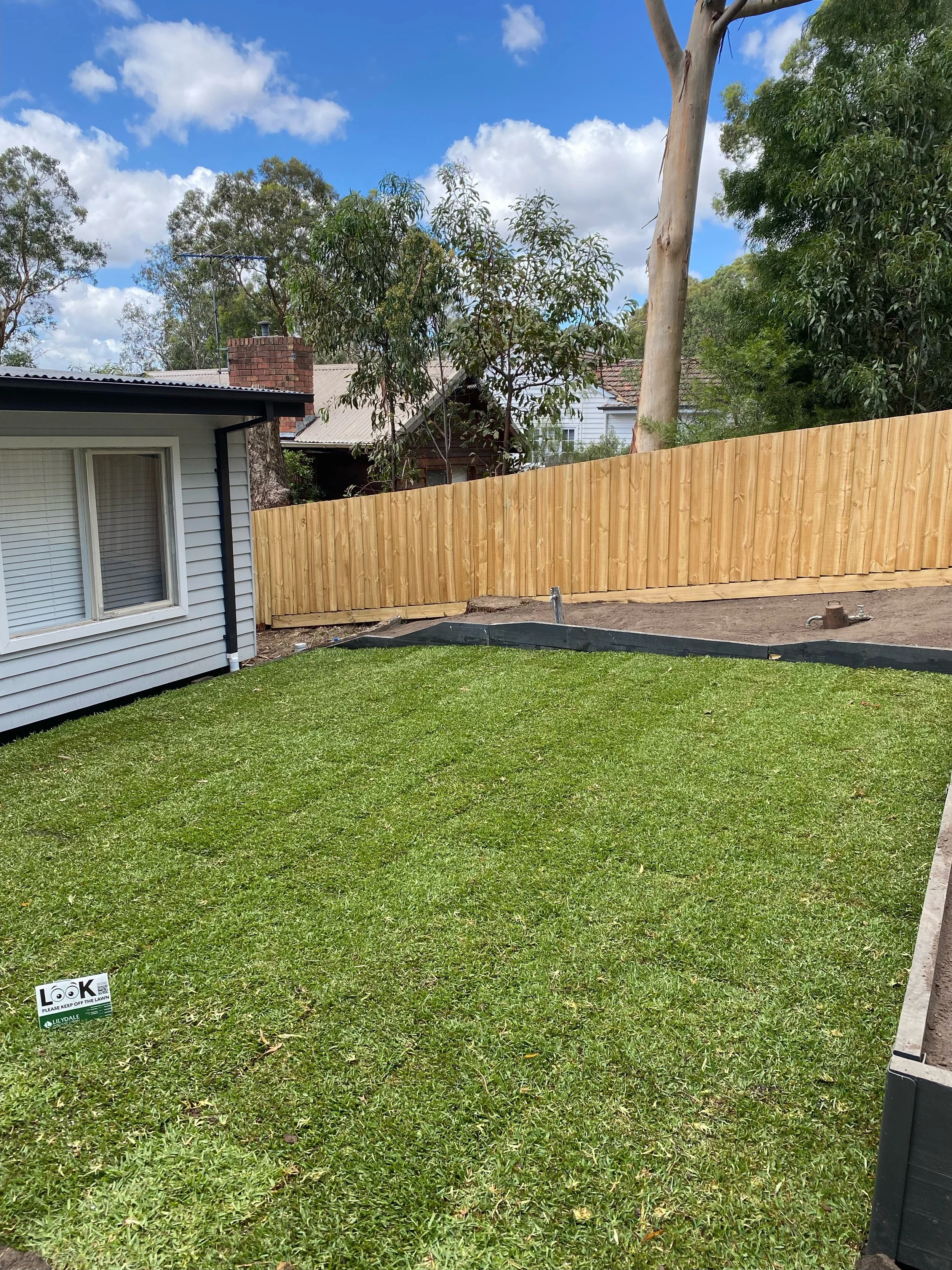 Backyard with freshly laid sod, wooden fence, side of a house with a window, and trees in the background under a blue sky.