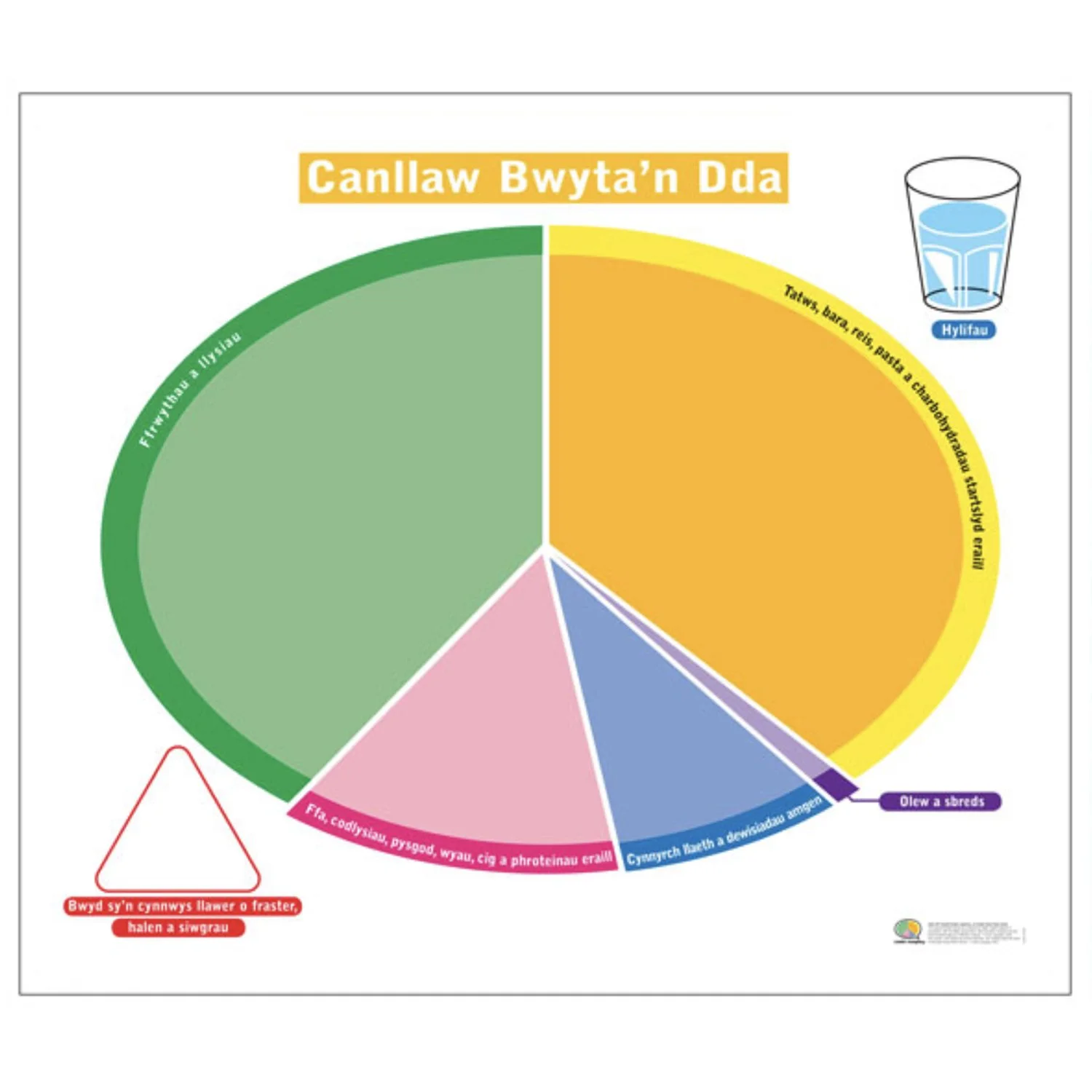 Welsh Eatwell Guide / Canllaw Bwyta’n Dda Floor Game 1m x 1.2m (with captions) & Cards (code 597)