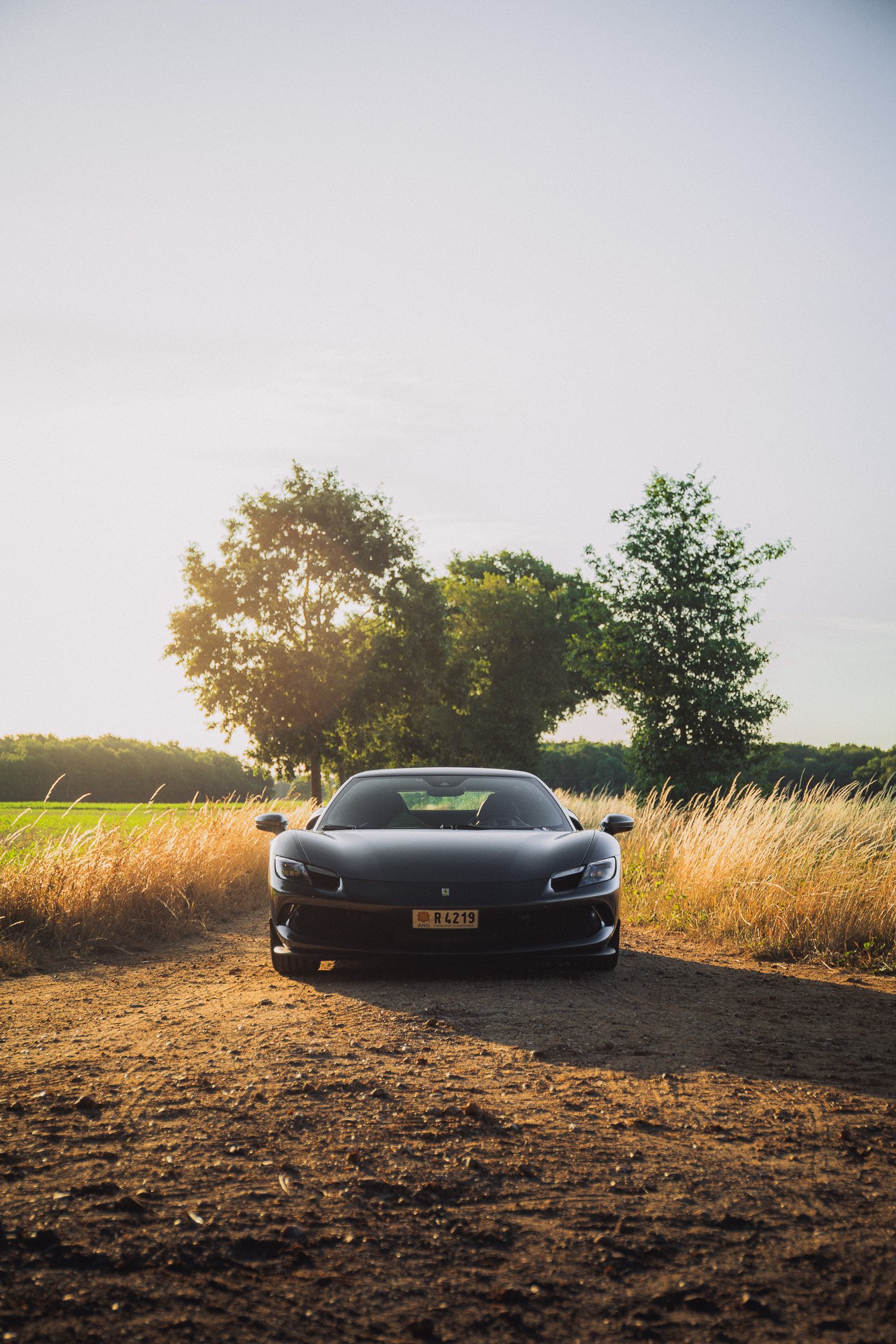 Ferrari 296 GTB-2.jpg