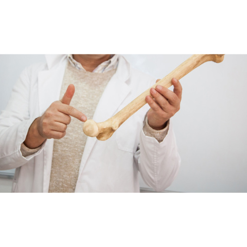 Futura Profile picture options  (20).png