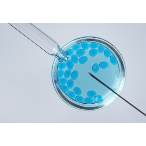 Futura Profile picture options  (15).png