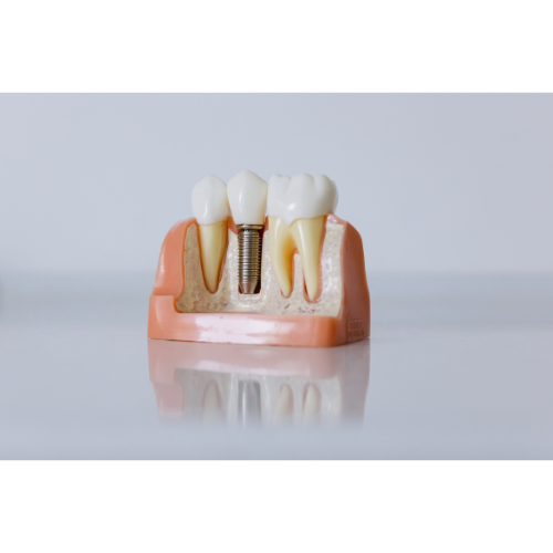 Futura Profile picture options  (14).png