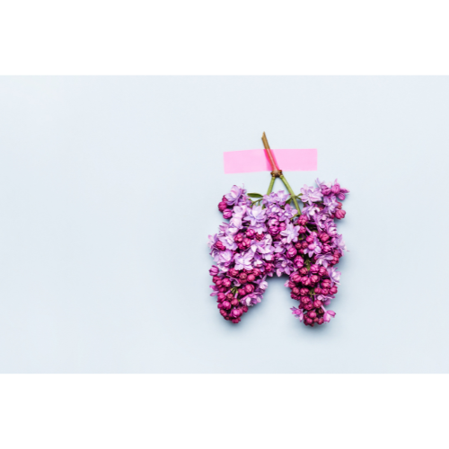 Futura Profile picture options  (16).png