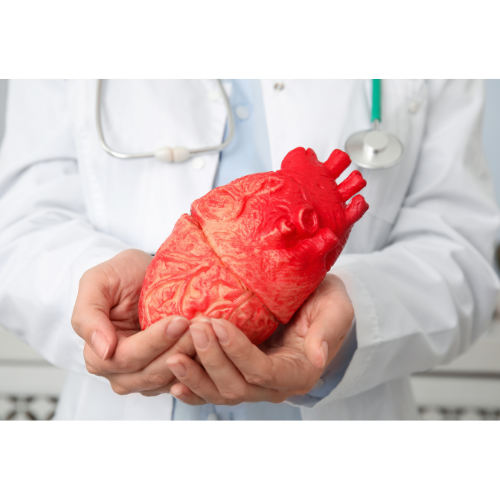 Futura Profile picture options  (19).png