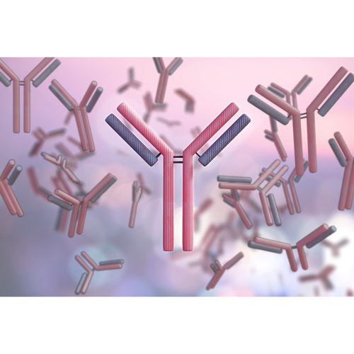 Futura Profile picture options  (12).png