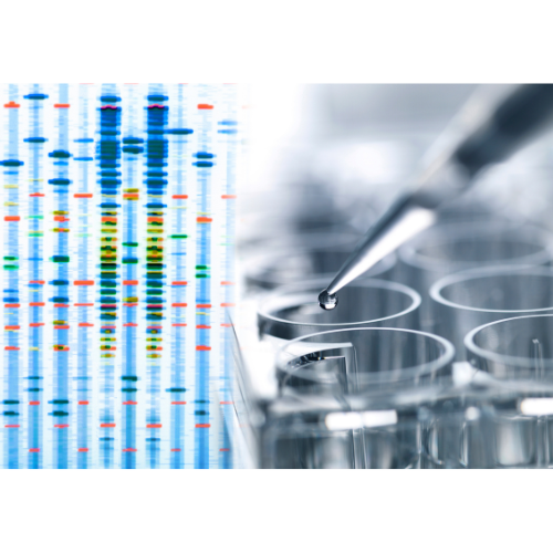 Futura Profile picture options  (18).png