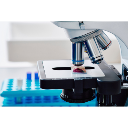 Futura Profile picture options  (21).png