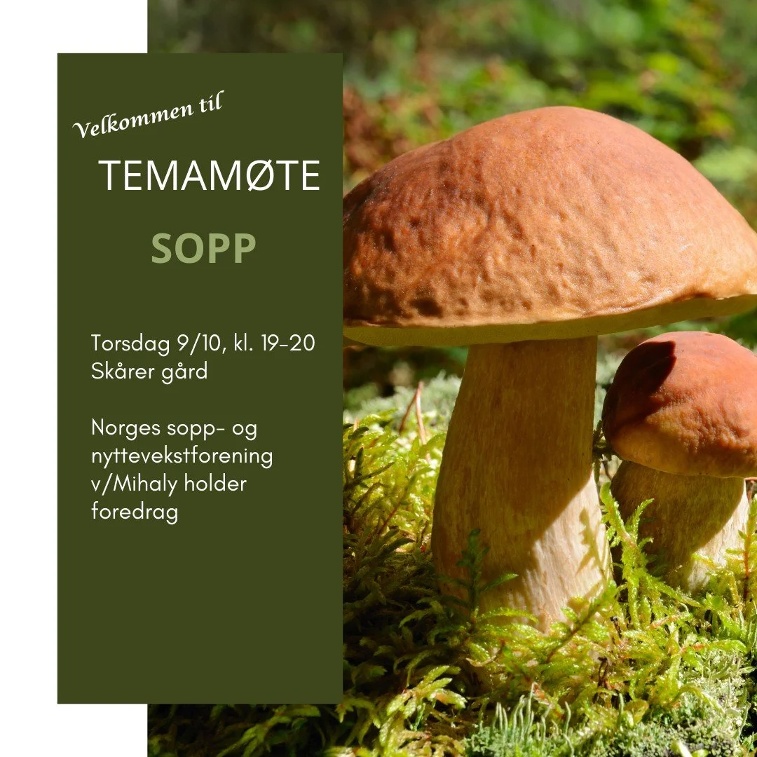 Velkommen til temam&oslash;te!
Se bilde for mer informasjon.