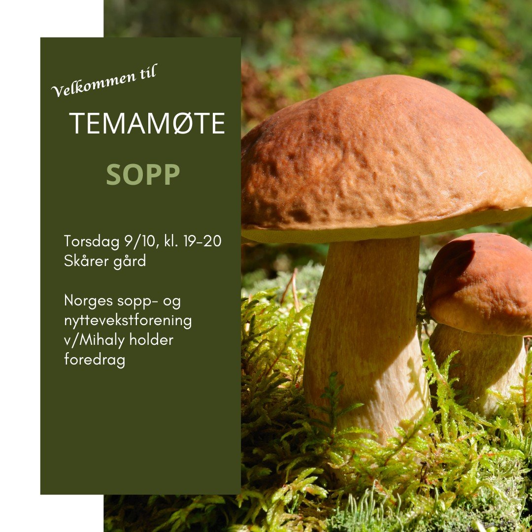 Velkommen til temam&oslash;te i kveld p&aring; Sk&aring;rer g&aring;rd!
Se bilde for mer informasjon.