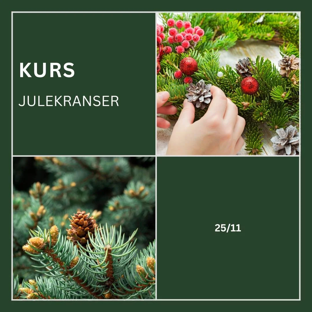 Velkommen til kurs i julekrans! 
Se bilder og hjemmesiden for informasjon og p&aring;melding https://lorenskog-husflidslag.no/
