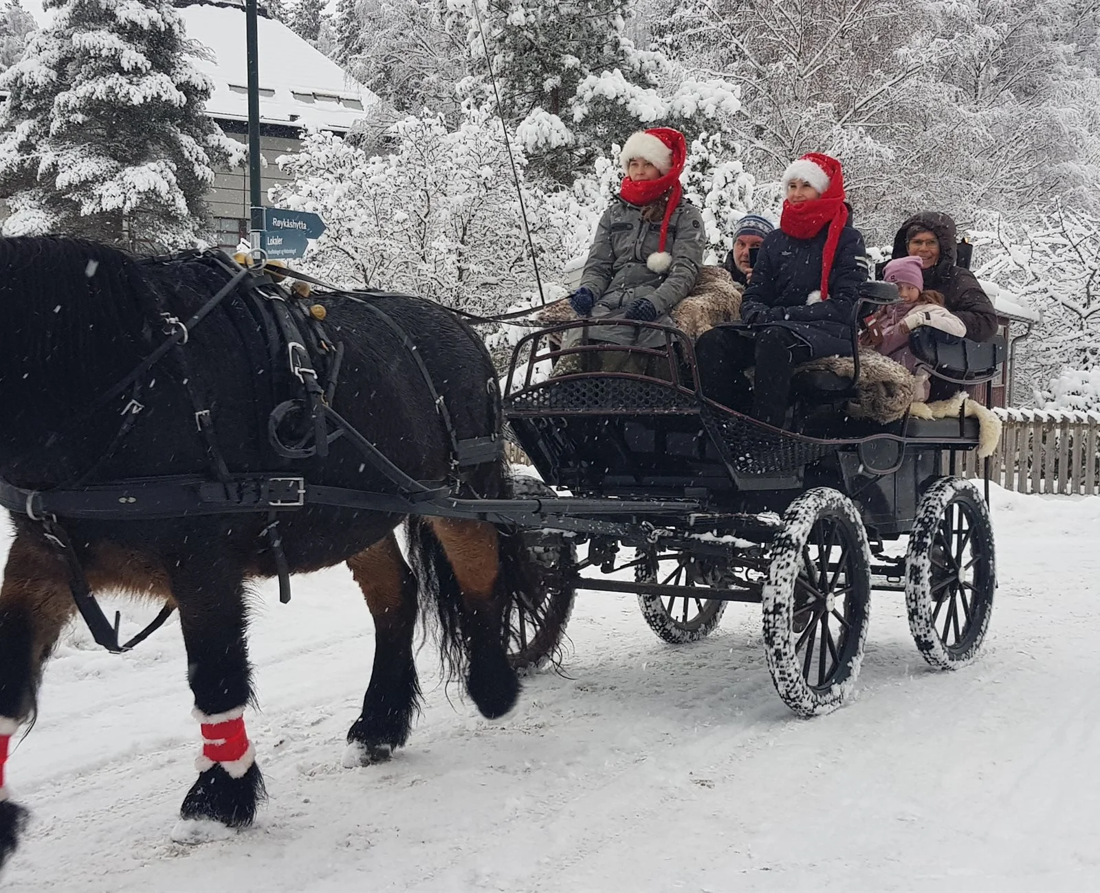 Velkommen til &aring;rets julemarked p&aring; Sk&aring;rer g&aring;rd🎄 Det blir kaf&egrave;, salg av julenek, mange markedsboder, turer med hest og vogn for hele familien, juleverksted for barna og demonstrasjon av husflidsteknikker. Vi h&aring;per 