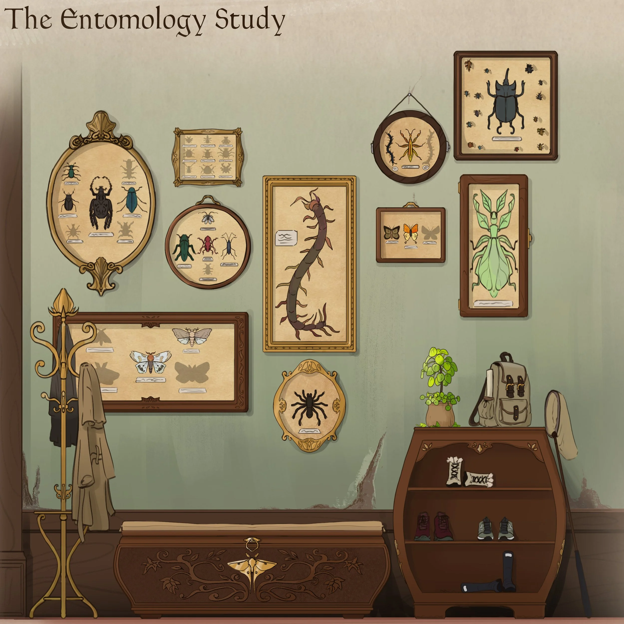 Entomology Study