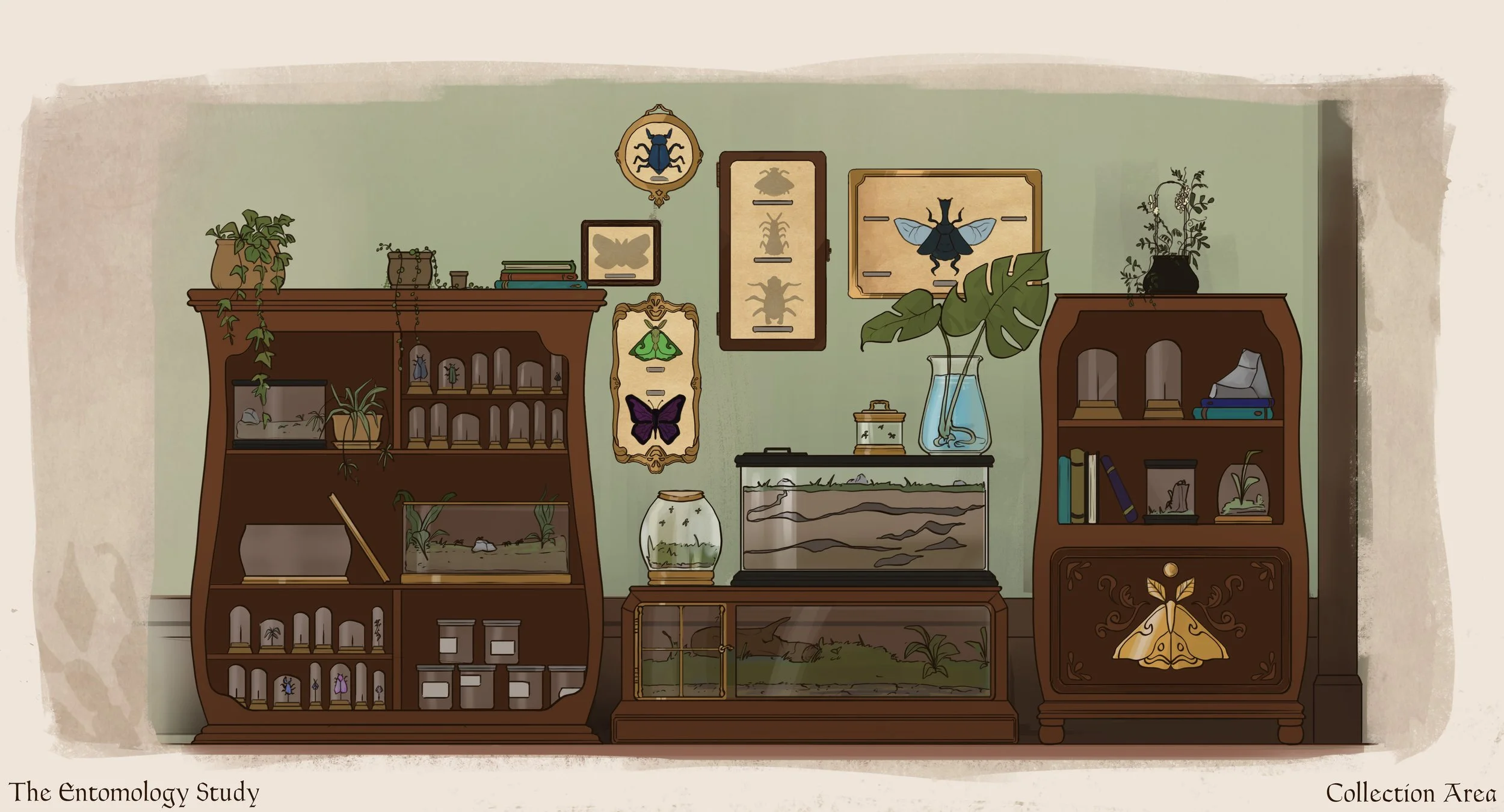 Collection Area.jpg