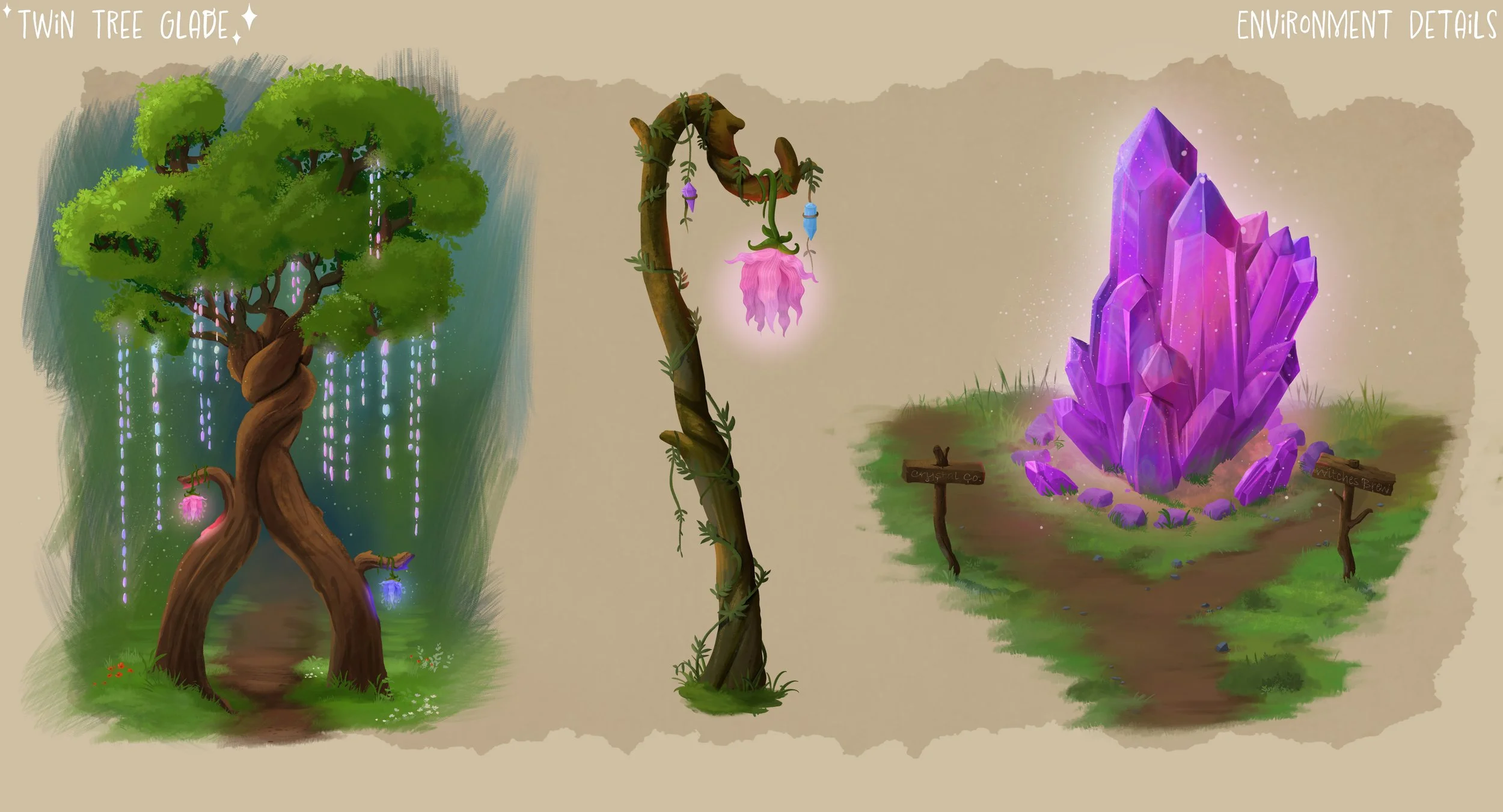 environment details.jpg