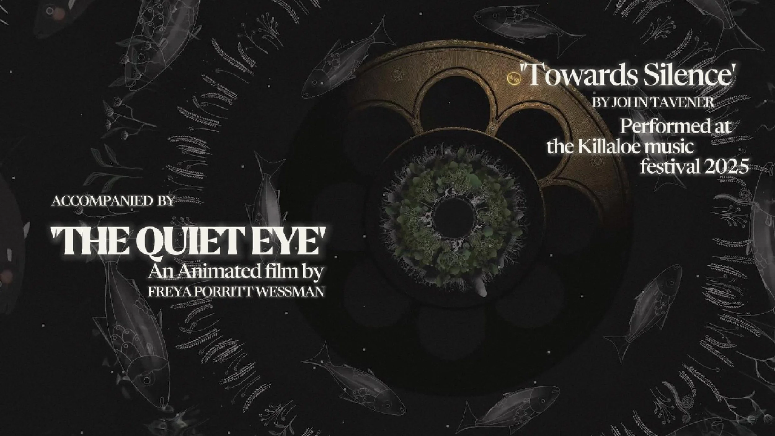 'The quiet eye' Film installation for Killaloe music festival 2025