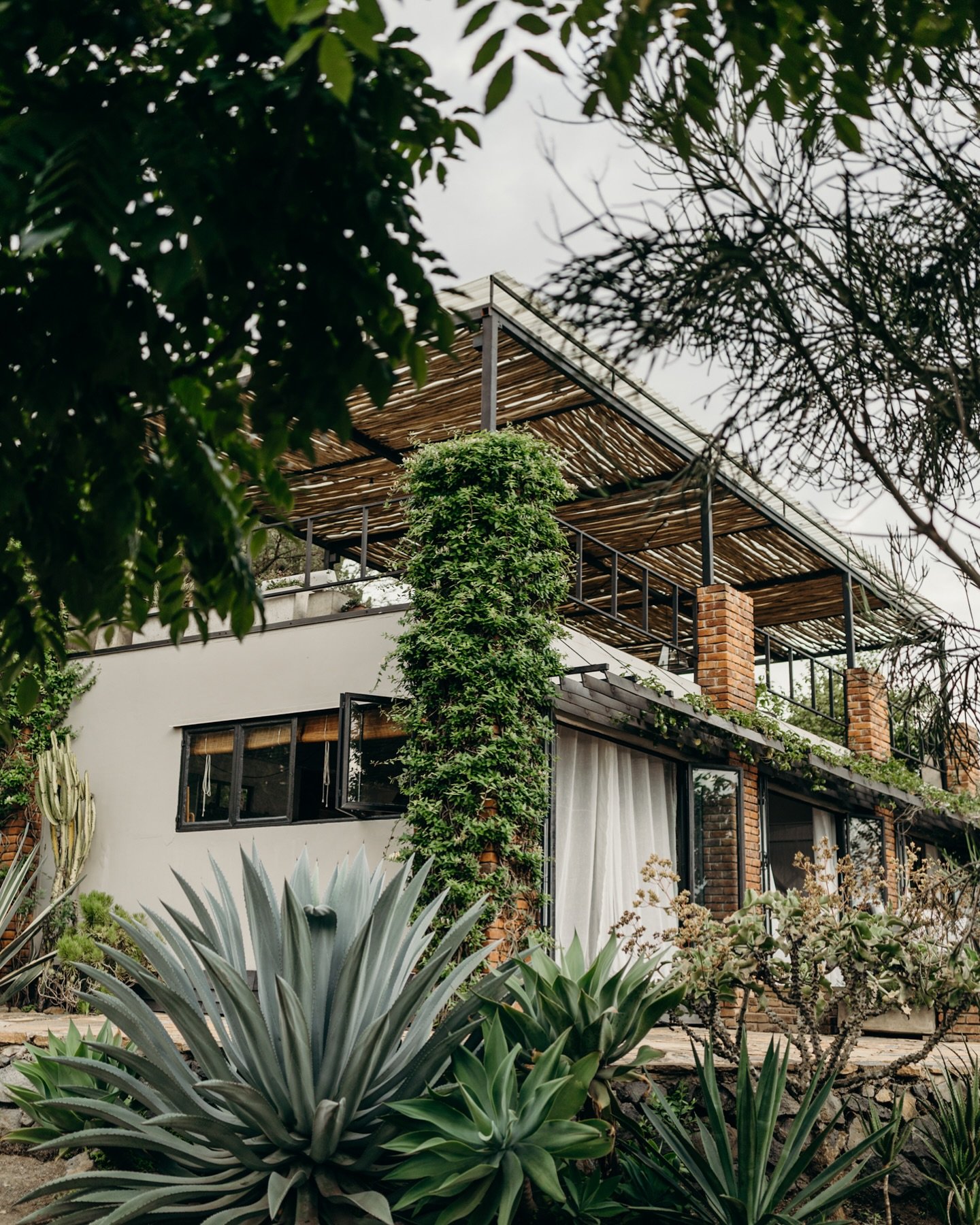 The spirit of pole pole (slowly, gently) lives here. Tanzania teaches you to breathe deeper, walk slower, and feel more.

#visittanzania #travelafrica #exploretheworld
#tanzaniaviews #bucketlisttravel #naturelovers
#ecohome #offgrid #luxuryliving #sa