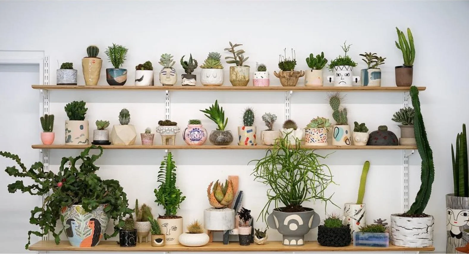 All vases by women designers