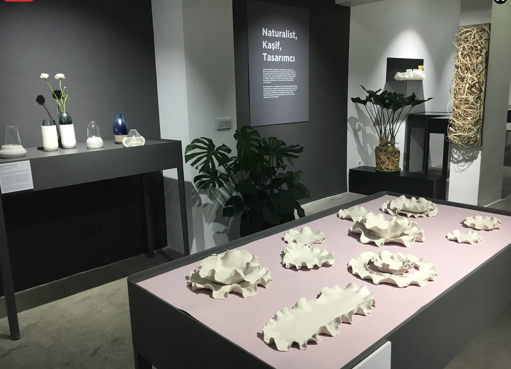 Exhibition display including Menderes Güneş, Ekin Kayış and Lina Saleh 