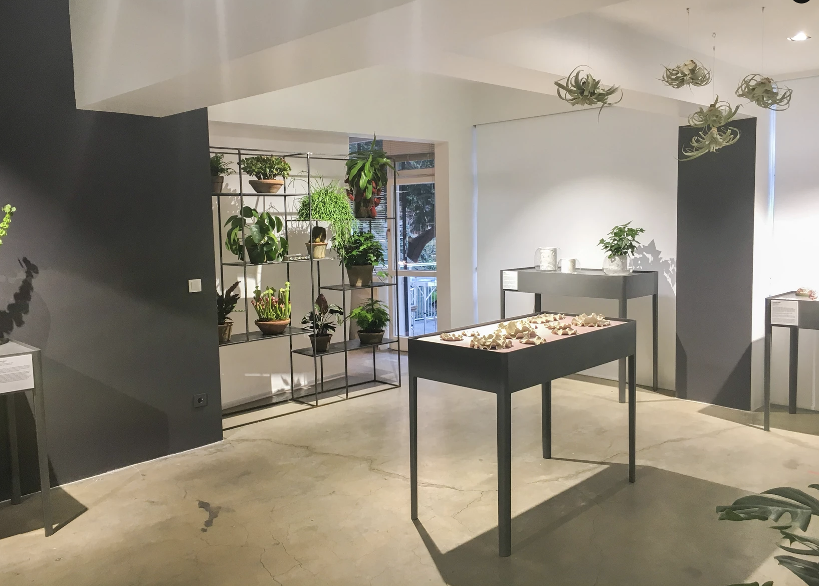 Exhibition display including artworks by Lina Saleh and Studio Ayaskan