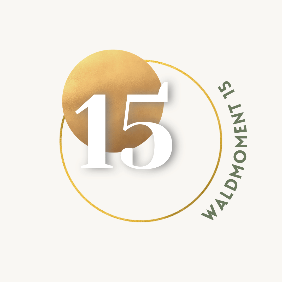 15.png