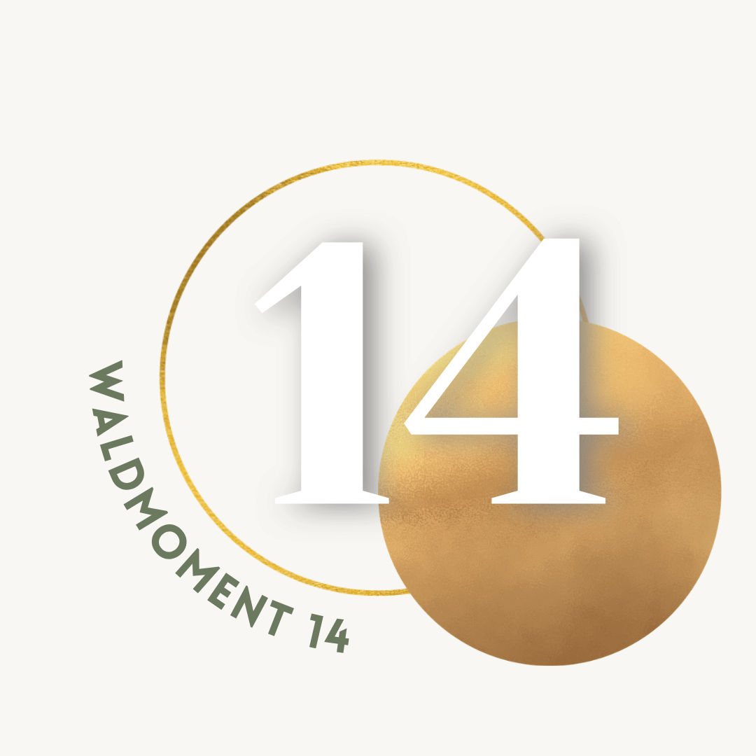 14.png