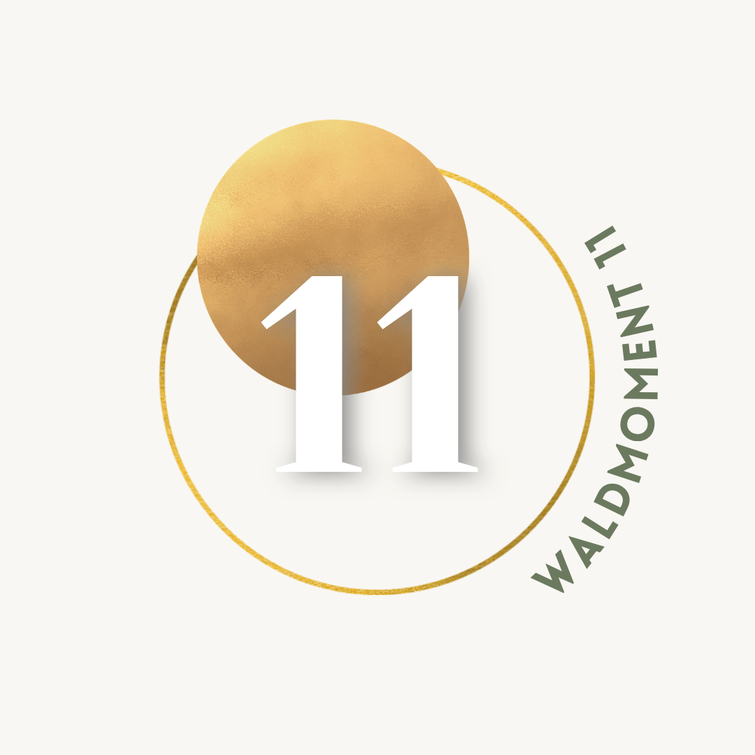 11.png