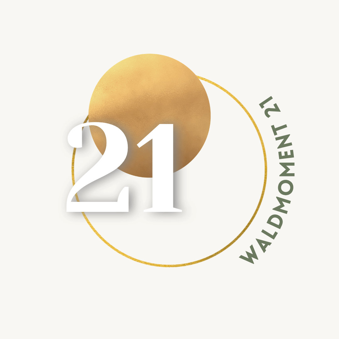21.png