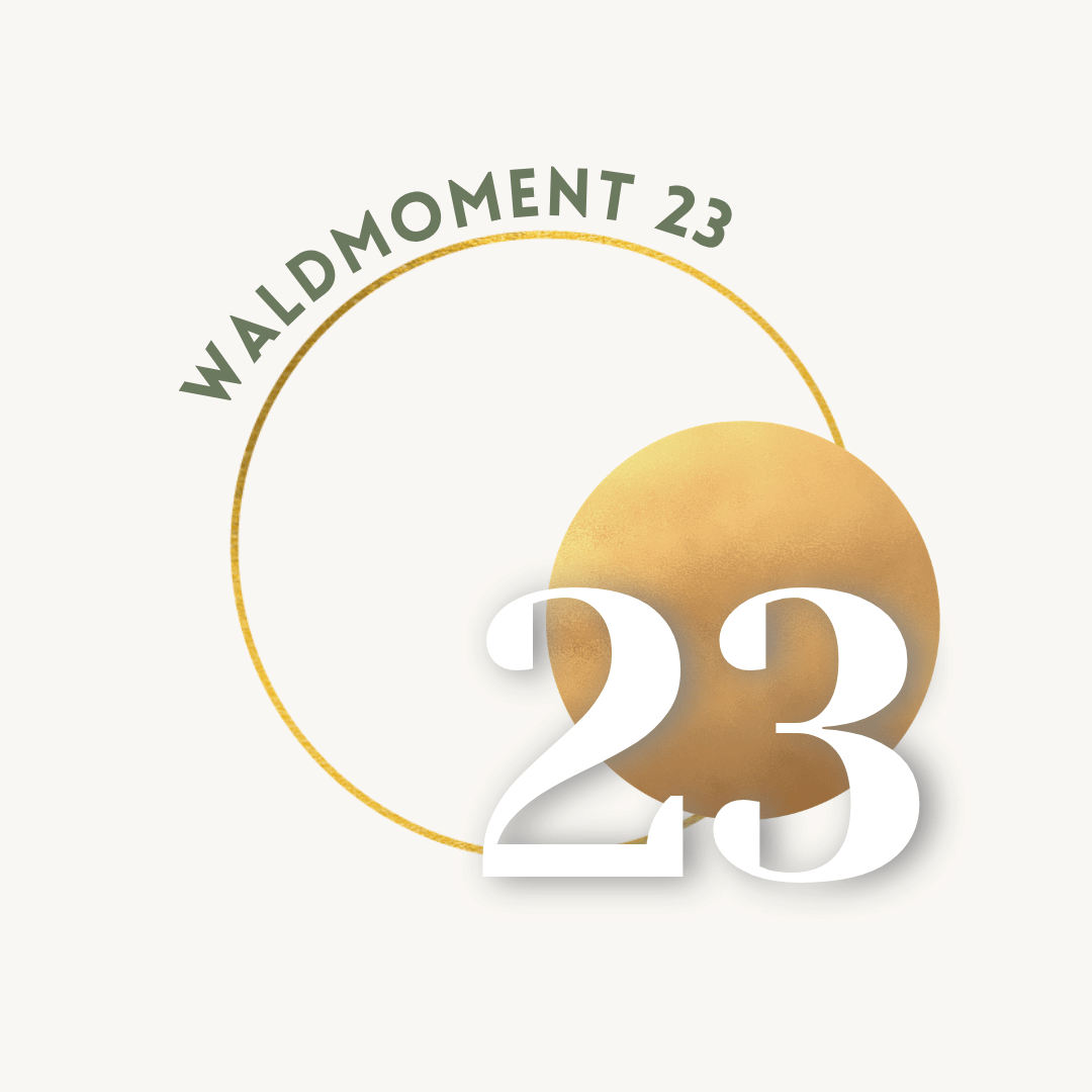 23.png