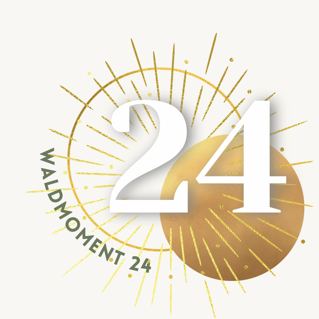 24.png