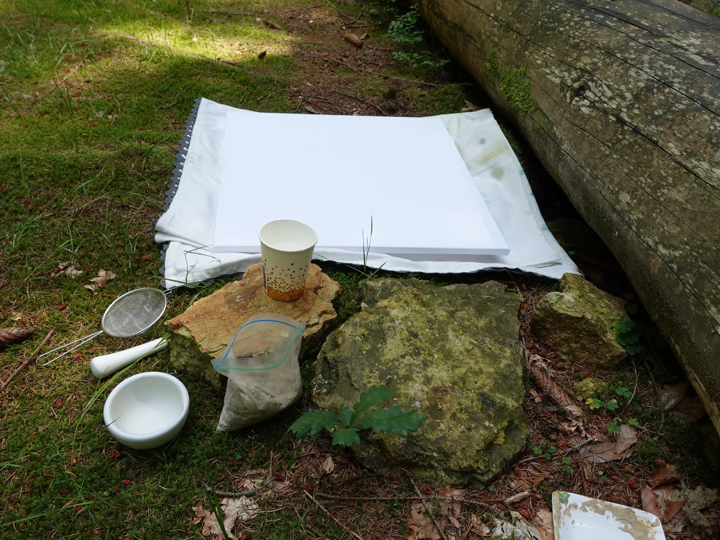 Waldkunst Steinbruch.jpg