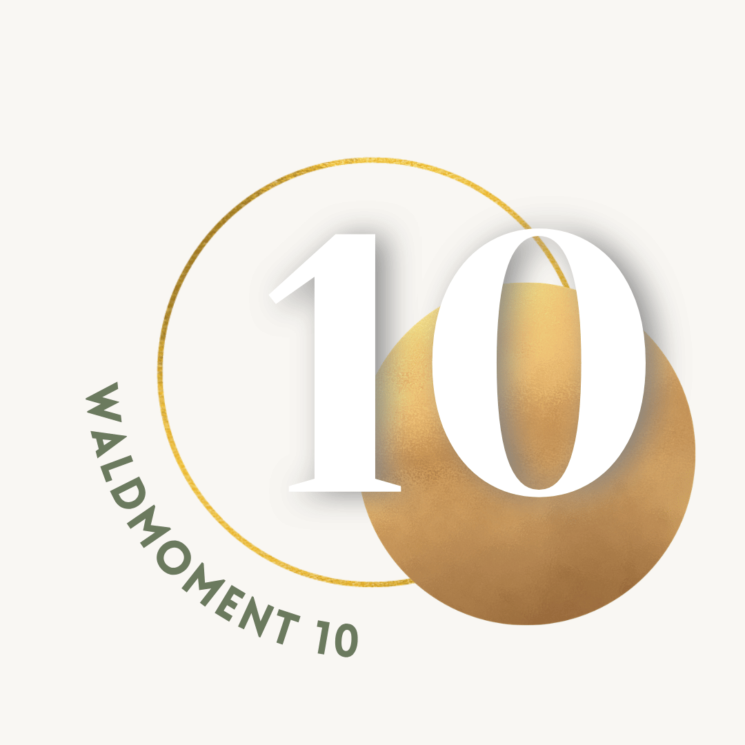 10.png