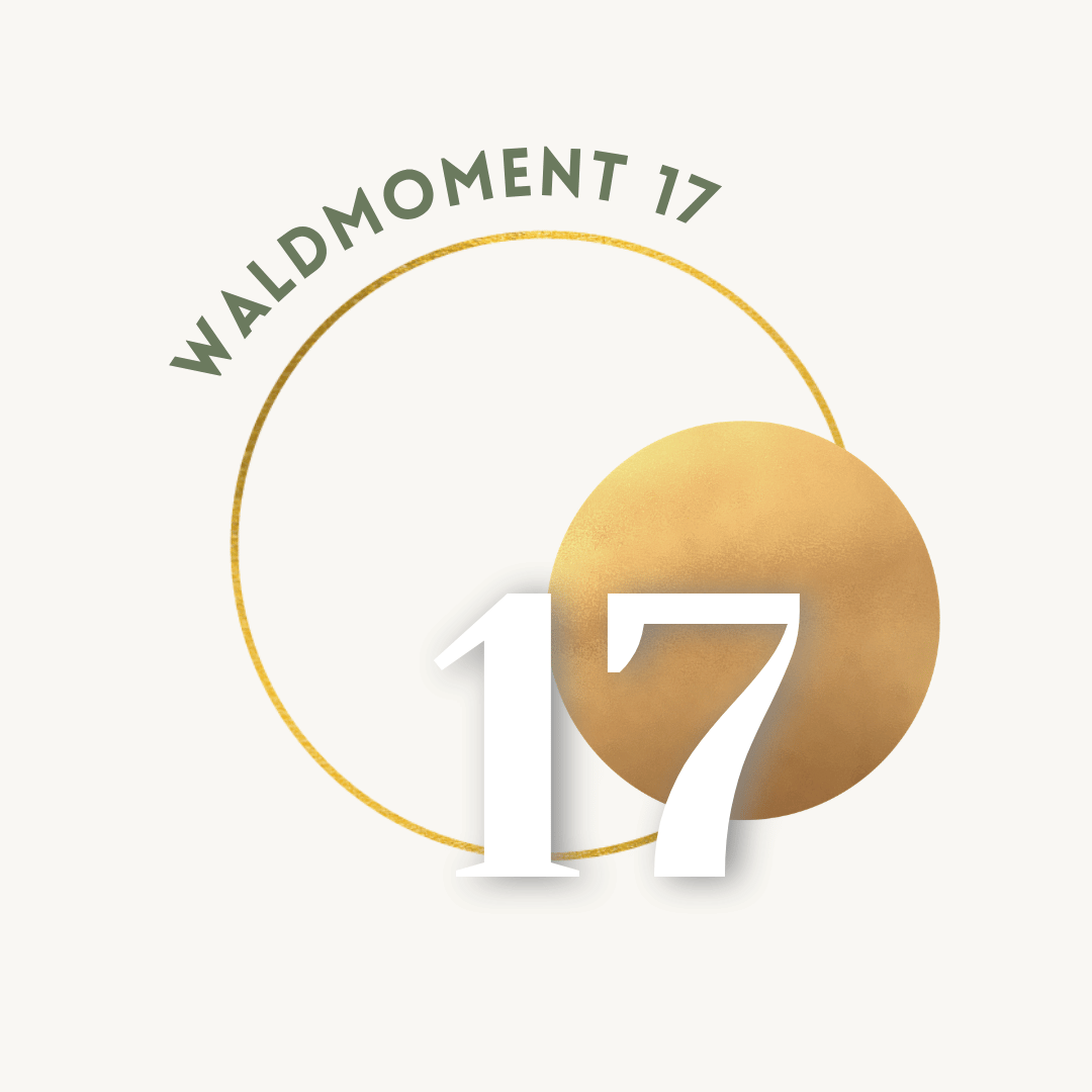 17.png