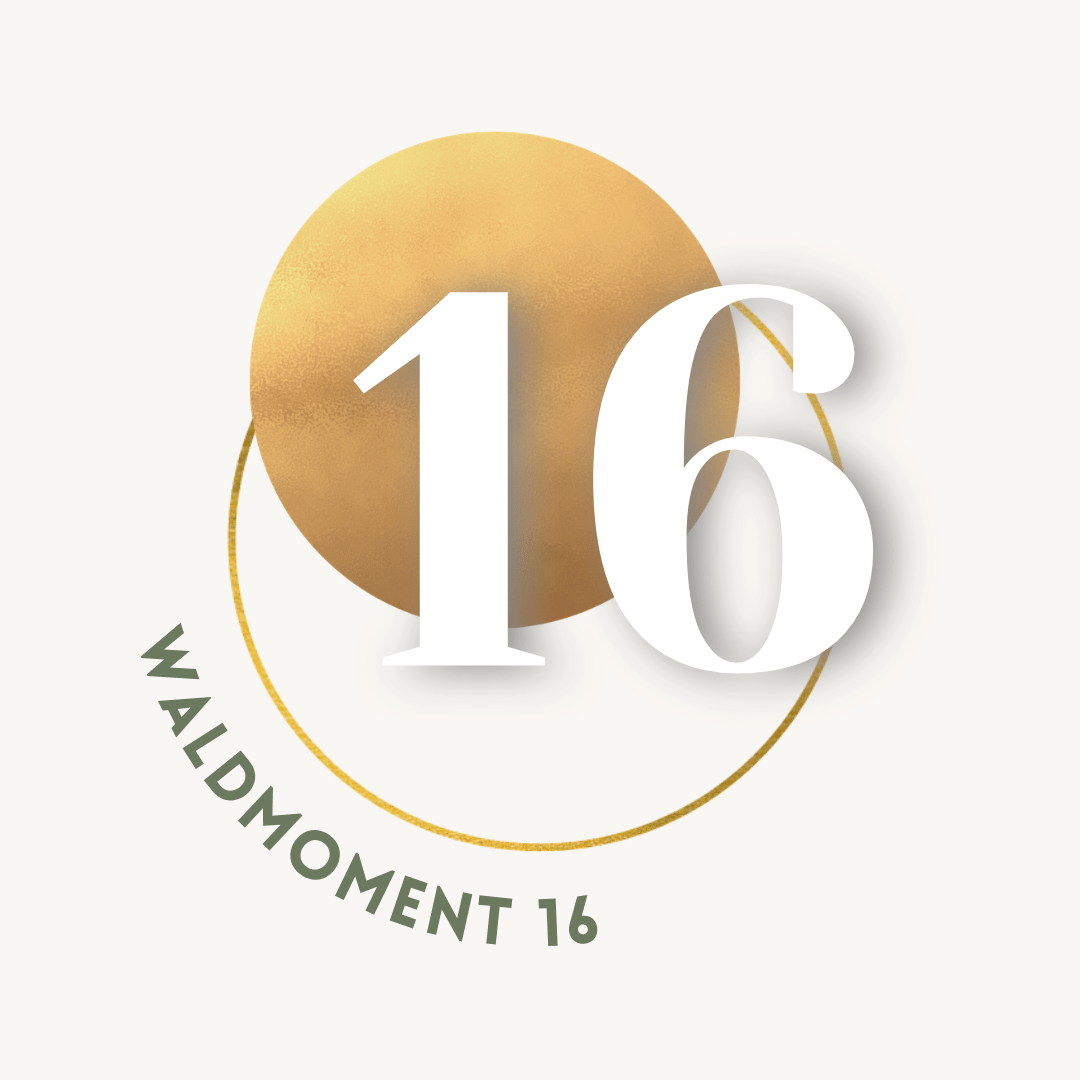 16.png