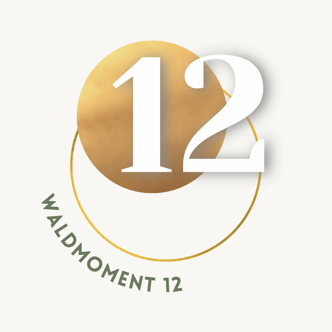 12.png