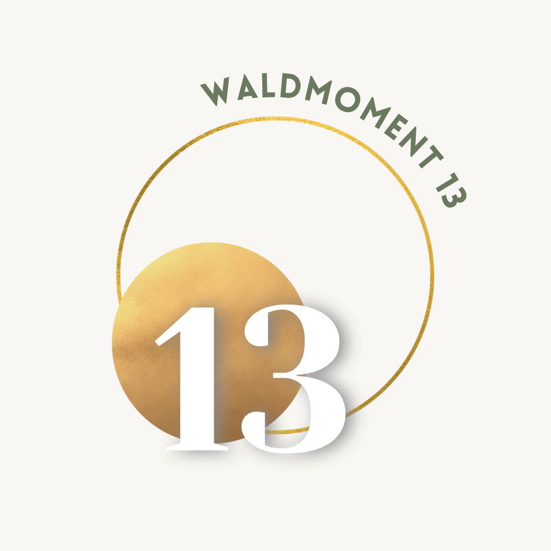 13.png