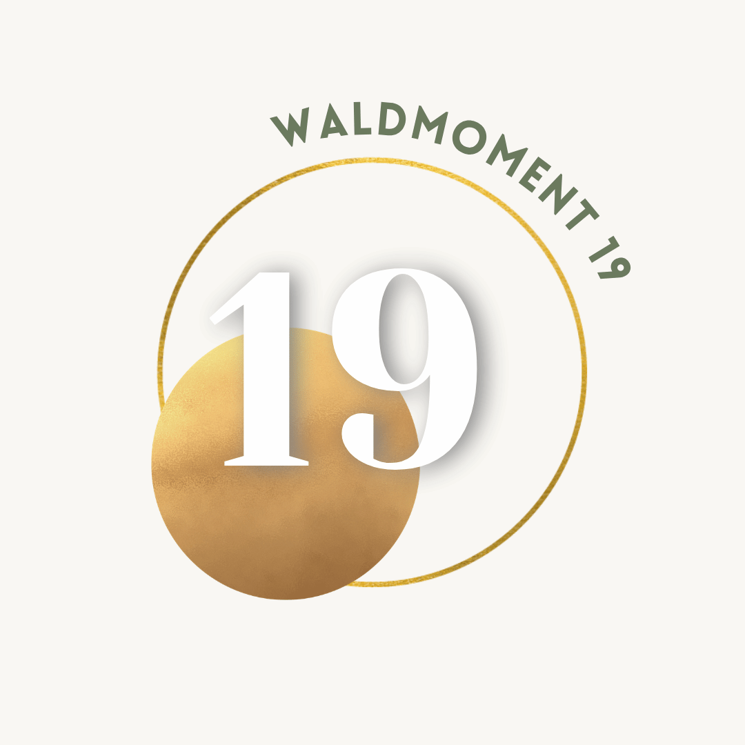 19.png