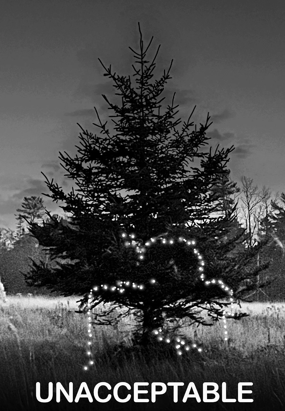 The Hilsweats &amp; Nimrod Report: Joyously Enforced Holiday Spirit ~ A Game Changer to Increase Merriment and the Student Population!