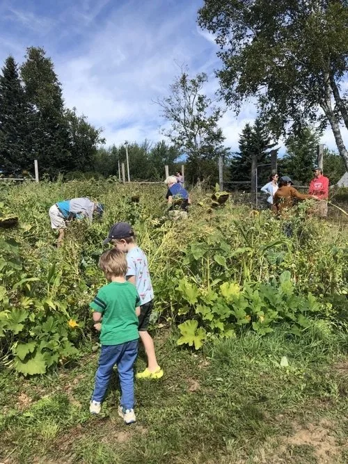 Sowing a Chaos Garden at the Blueberry Hill Learning Garden