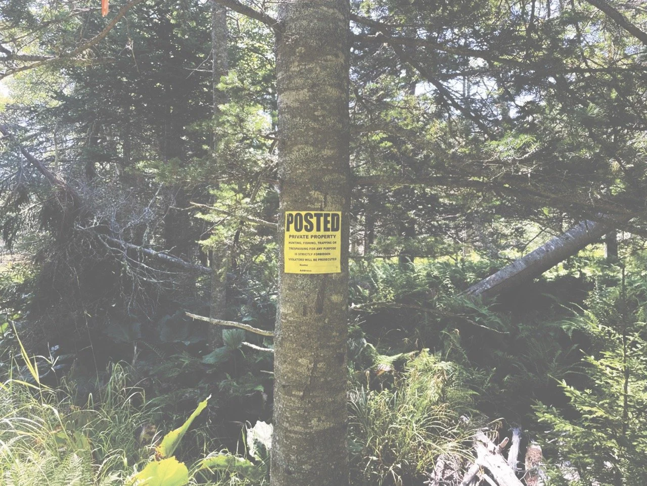 On Islesboro, An Unspoken Roaming Tradition in Decline 
