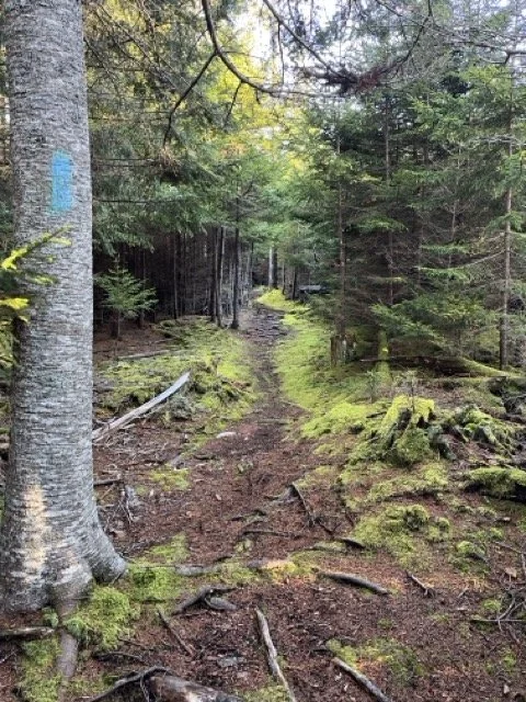 On The Trails This Spring
