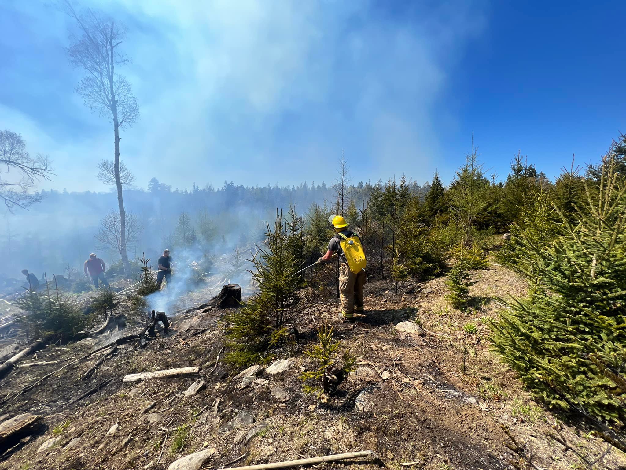 “Things Can Go Bad”: Wildfire Risk on Islesboro