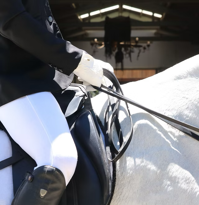 Growing up with Pripet Riding