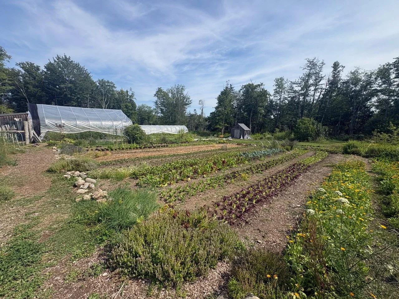 A Tale of Two Gardens