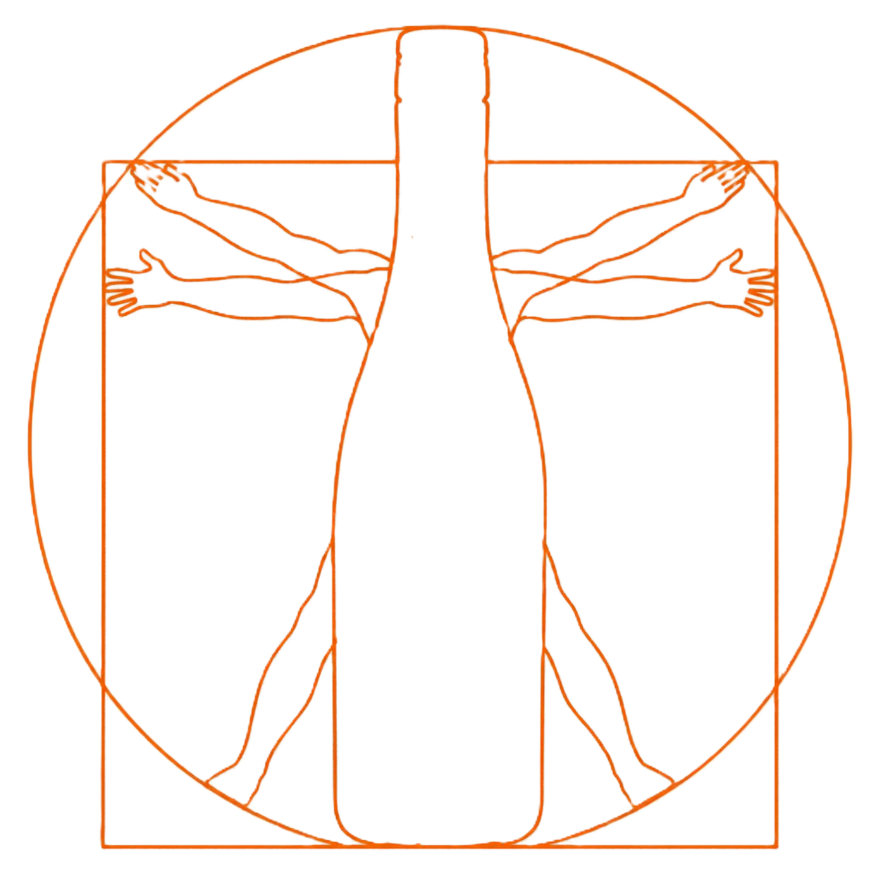 VinHale wine consultancy illustration: wine bottle in a Vitruvian Man pose
