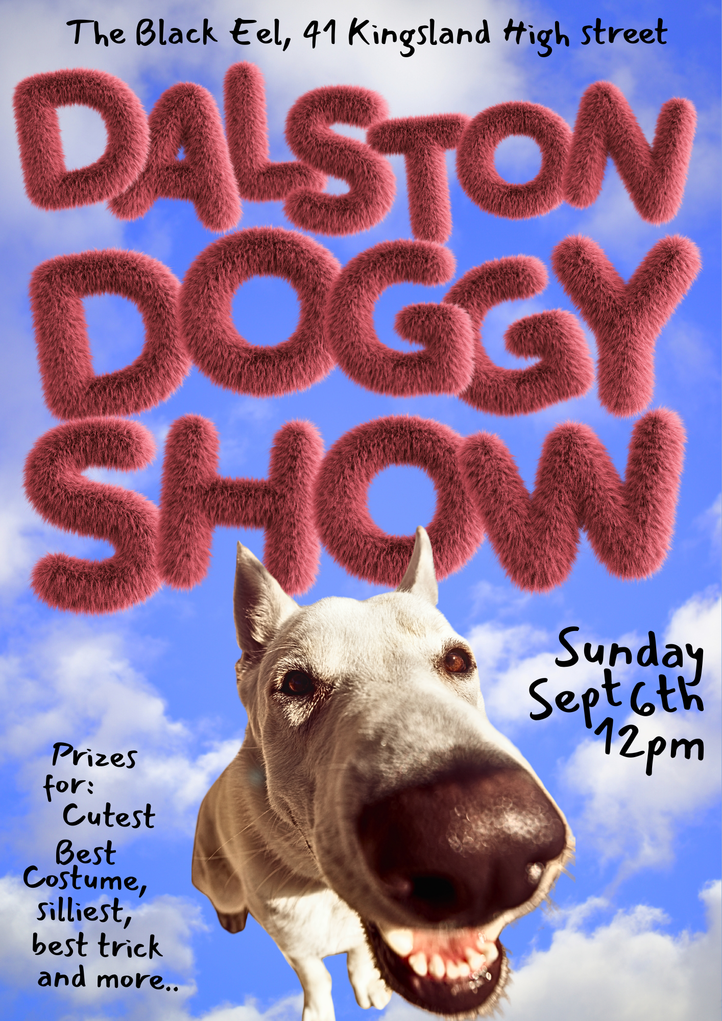 Dalston Doggy show